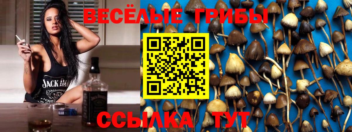 Черкесск  Галлюциногенные грибы GOLDEN TEACHER  Вход с VPN  Псилоцибиновые грибы GOLDEN TEACHER 