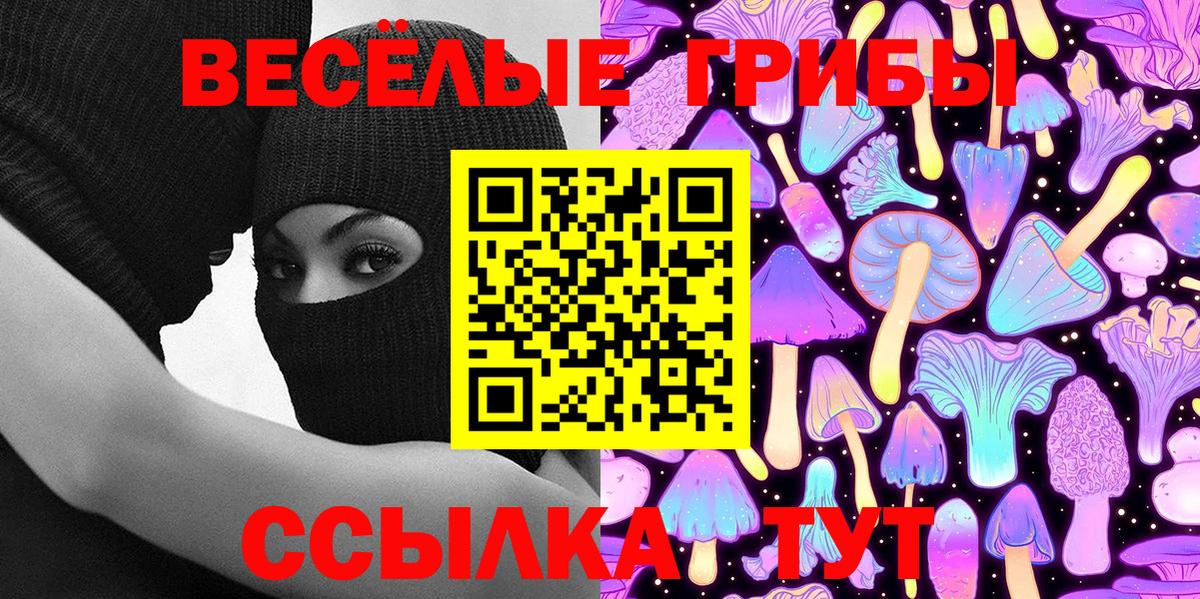 Галлюциногенные грибы Psilocybe Черкесск